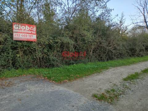 Terreno Rústico  Venda em Queirã,Vouzela