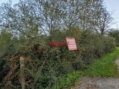 Terreno Rústico  Venda em Queirã,Vouzela