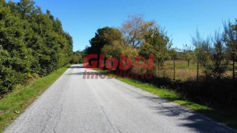 Terreno Para Construção  Venda em Ferreira de Aves,Sátão