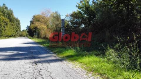 Terreno Para Construção  Venda em Ferreira de Aves,Sátão