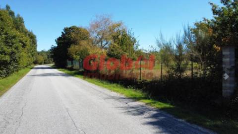 Terreno Para Construção  Venda em Ferreira de Aves,Sátão