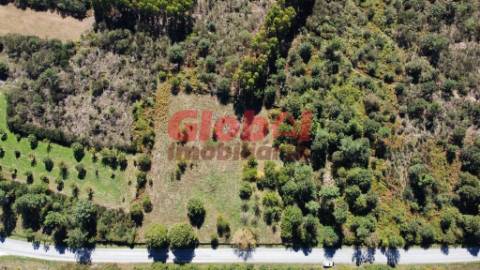 Terreno Para Construção  Venda em Ferreira de Aves,Sátão