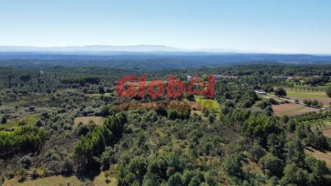 Terreno Para Construção  Venda em Ferreira de Aves,Sátão