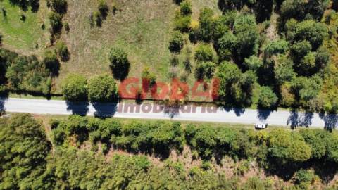 Terreno Para Construção  Venda em Ferreira de Aves,Sátão