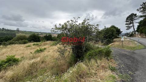Terreno Para Construção  Venda em Santos Evos,Viseu