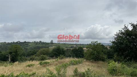 Terreno Para Construção  Venda em Santos Evos,Viseu