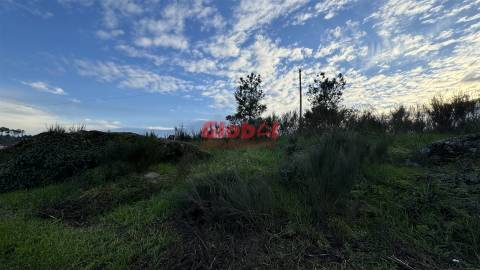 Terreno  Venda em São João de Lourosa,Viseu