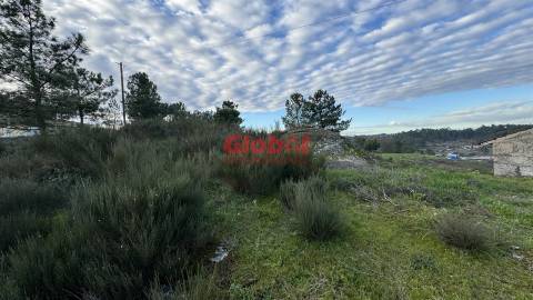 Terreno  Venda em São João de Lourosa,Viseu