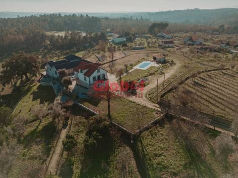 Quinta  Venda em Parada de Gonta,Tondela