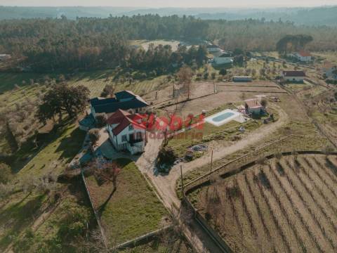 Quinta  Venda em Parada de Gonta,Tondela