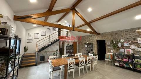 Quinta  Venda em Parada de Gonta,Tondela