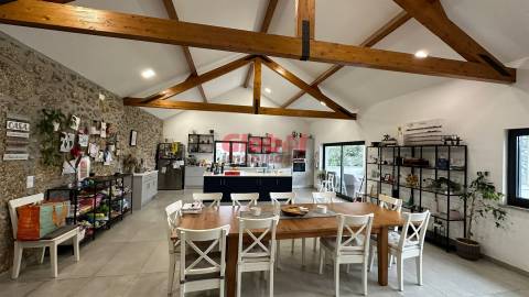 Quinta  Venda em Parada de Gonta,Tondela