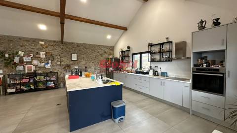 Quinta  Venda em Parada de Gonta,Tondela