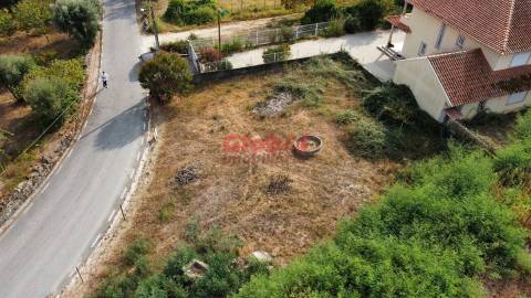 Terreno  Venda em Alcafache,Mangualde