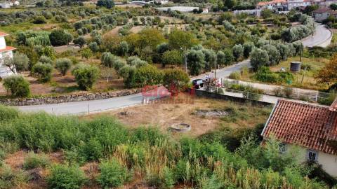 Terreno  Venda em Alcafache,Mangualde