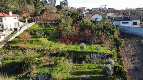 Terreno  Venda em Orgens,Viseu