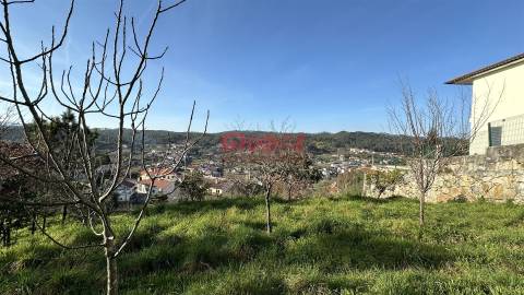 Terreno  Venda em Orgens,Viseu