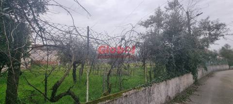 Terreno Para Construção  Venda em Rio de Loba,Viseu