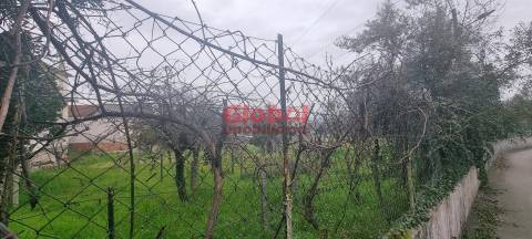 Terreno Para Construção  Venda em Rio de Loba,Viseu