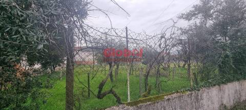 Terreno Para Construção  Venda em Rio de Loba,Viseu