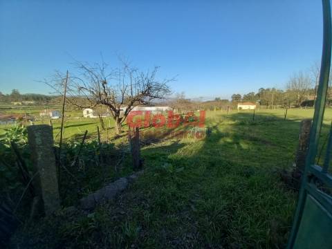 Lote de Terreno  Venda em São Vicente de Lafões,Oliveira de Frades