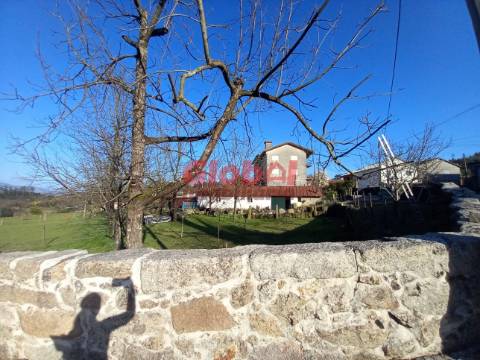 Lote de Terreno  Venda em São Vicente de Lafões,Oliveira de Frades