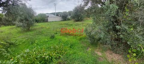 Terreno Para Construção  Venda em Santos Evos,Viseu