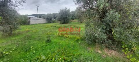 Terreno Para Construção  Venda em Santos Evos,Viseu