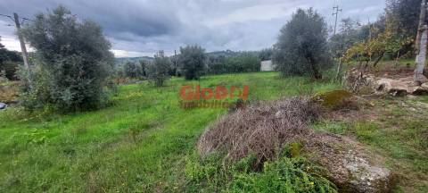 Terreno Para Construção  Venda em Santos Evos,Viseu