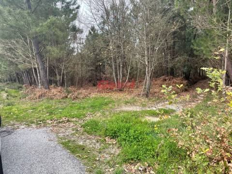 Terreno  Venda em Silgueiros,Viseu