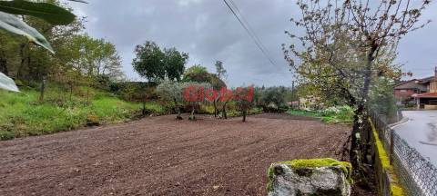 Terreno  Venda em Bodiosa,Viseu