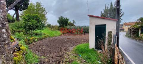 Terreno  Venda em Bodiosa,Viseu