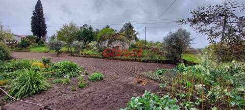 Terreno  Venda em Bodiosa,Viseu