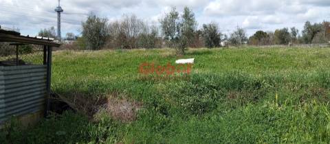 Terreno Rústico  Venda em Rio de Loba,Viseu