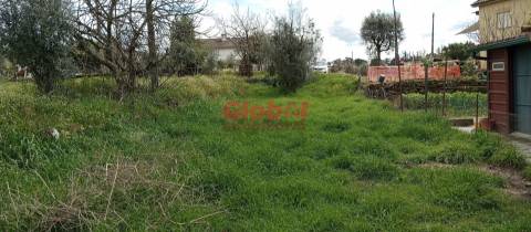 Terreno Rústico  Venda em Rio de Loba,Viseu