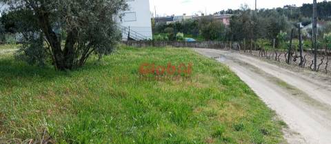 Terreno Rústico  Venda em Rio de Loba,Viseu