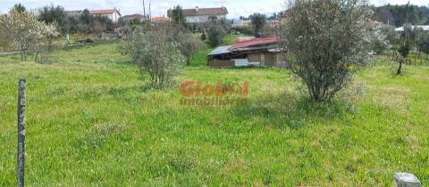 Terreno Rústico  Venda em Rio de Loba,Viseu