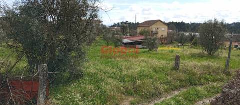 Terreno Rústico  Venda em Rio de Loba,Viseu