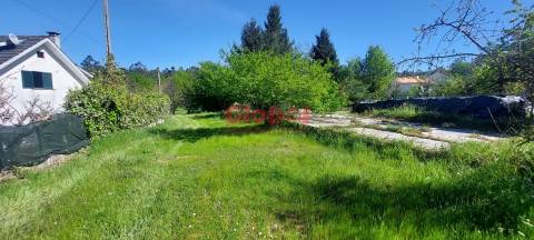 Terreno  Venda em Bodiosa,Viseu