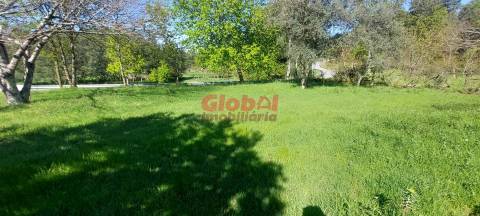 Terreno  Venda em Bodiosa,Viseu