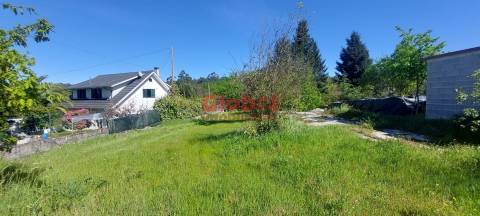 Terreno  Venda em Bodiosa,Viseu