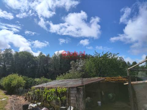 Moradia Geminada T5 Venda em Mundão,Viseu