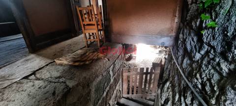 Moradia para Restaurar  Venda em Moledo,Castro Daire