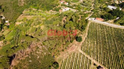 Quinta T1 Venda em São João de Lourosa,Viseu