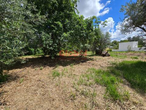 Terreno  Venda em Repeses e São Salvador,Viseu
