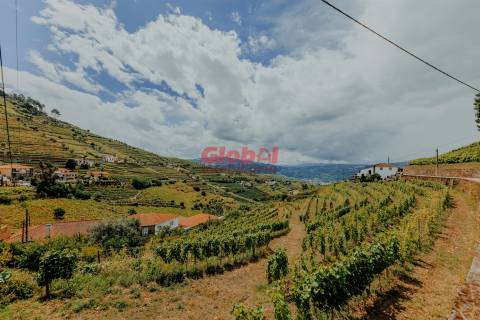 Moradia Isolada T7 Venda em Lobrigos (São Miguel e São João Baptista) e Sanhoane,Santa Marta de Penaguião