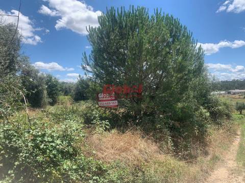 Terreno  Venda em Canas de Senhorim,Nelas