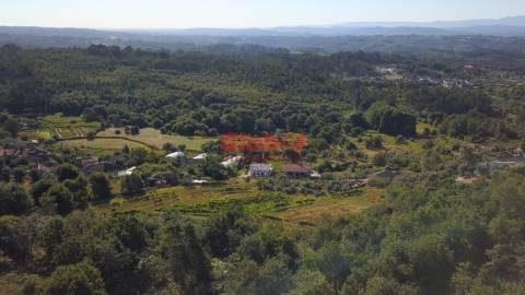 Quinta  Venda em São Pedro de France,Viseu