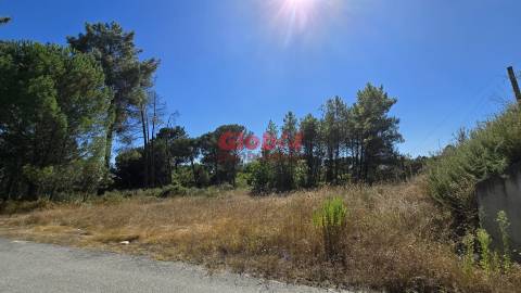 Terreno  Venda em Rio de Loba,Viseu