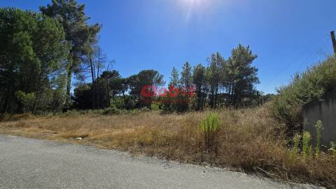 Terreno  Venda em Rio de Loba,Viseu